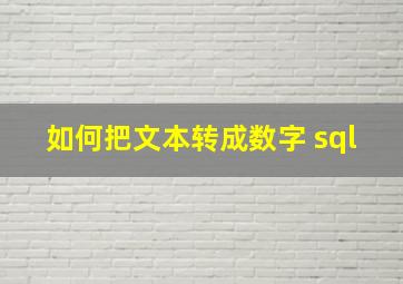 如何把文本转成数字 sql